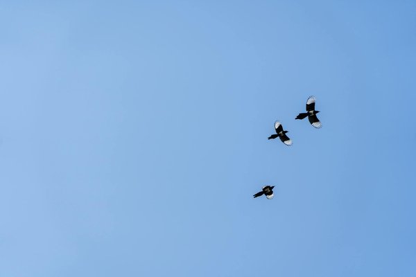 Understanding the UK Guidelines for At-Home Wireless Fetal Monitoring Devices